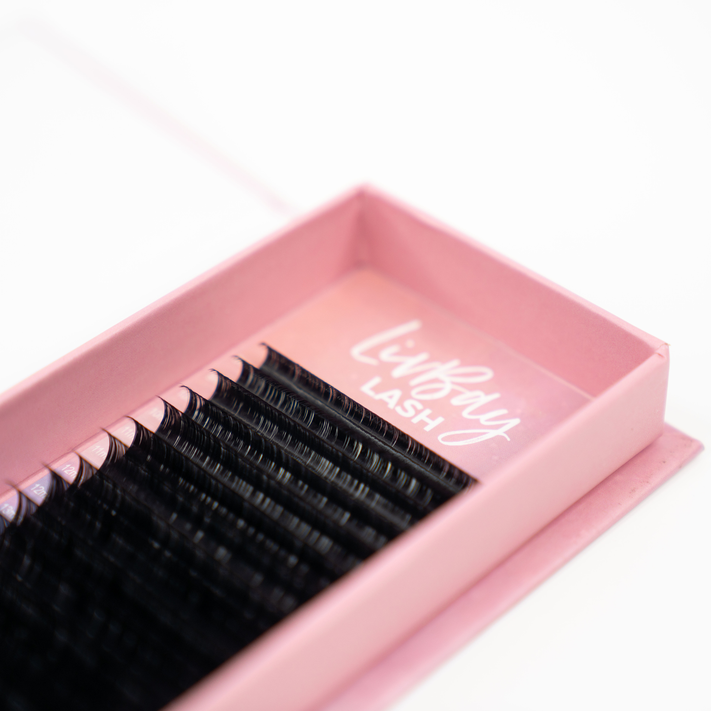 Cloud 9 at Midnight Lashes - .03 Easy Fans - Single Tray