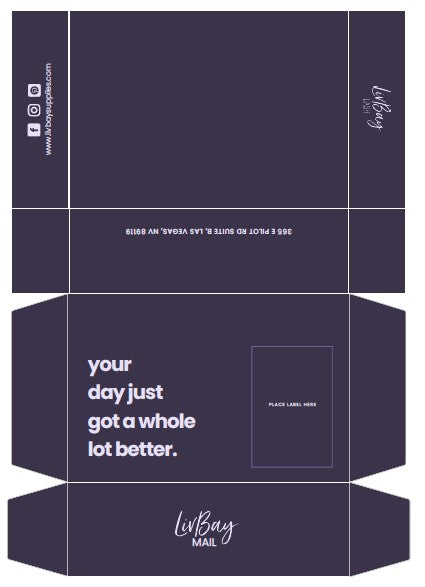 Custom LivBay Shipping Boxes and Tissue