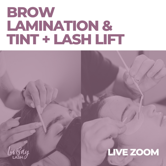 Brow Lamination & Tint + Lash Lift LIVE ZOOM Course