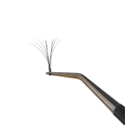 NEW Cloud 9 Lashes - 0.03mm Easy Fans