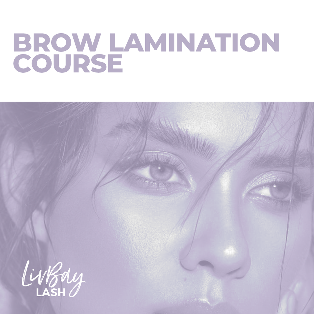 Lash Lift & Brow Lamination Sassy Lash Supplies