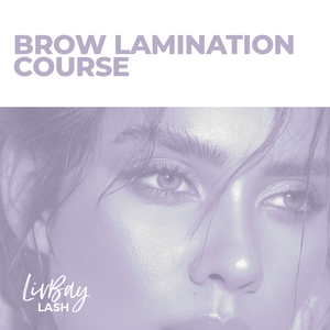 Brow Lamination Course - 2.0 (6581310128190)